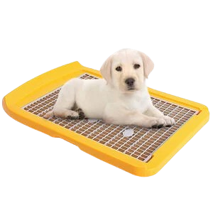 Pet Supplies